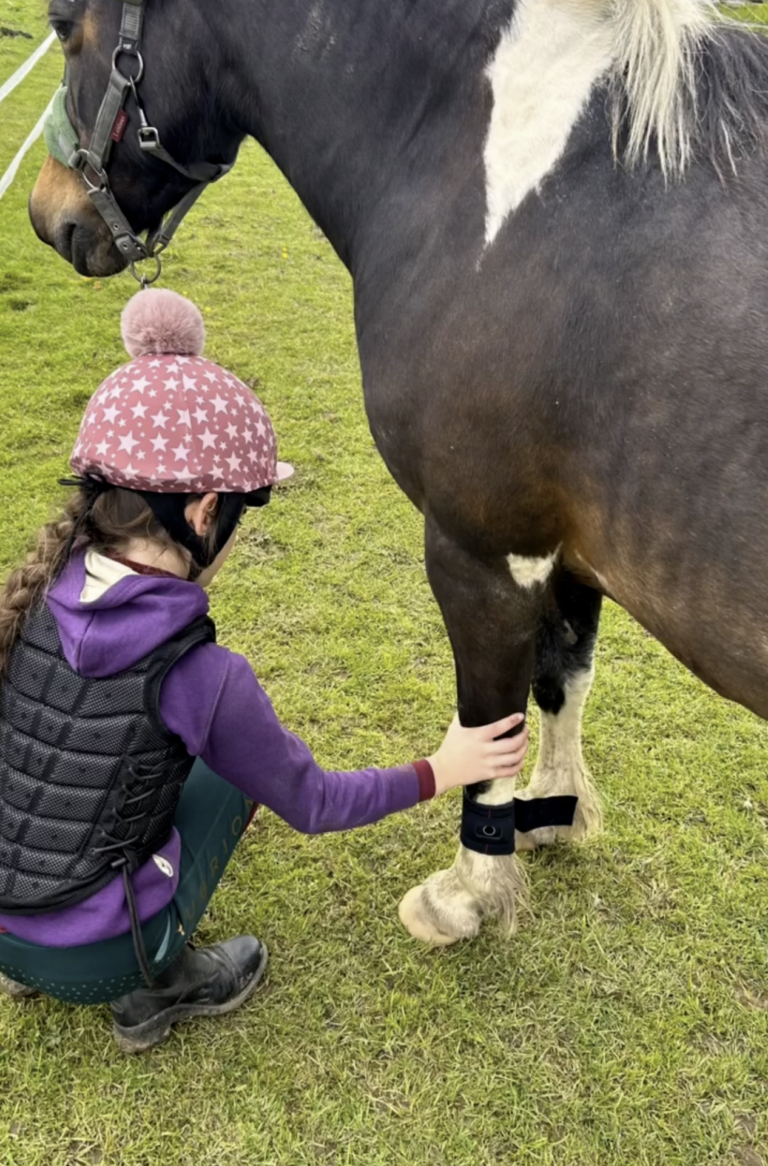 Getting started with Lami-TAG