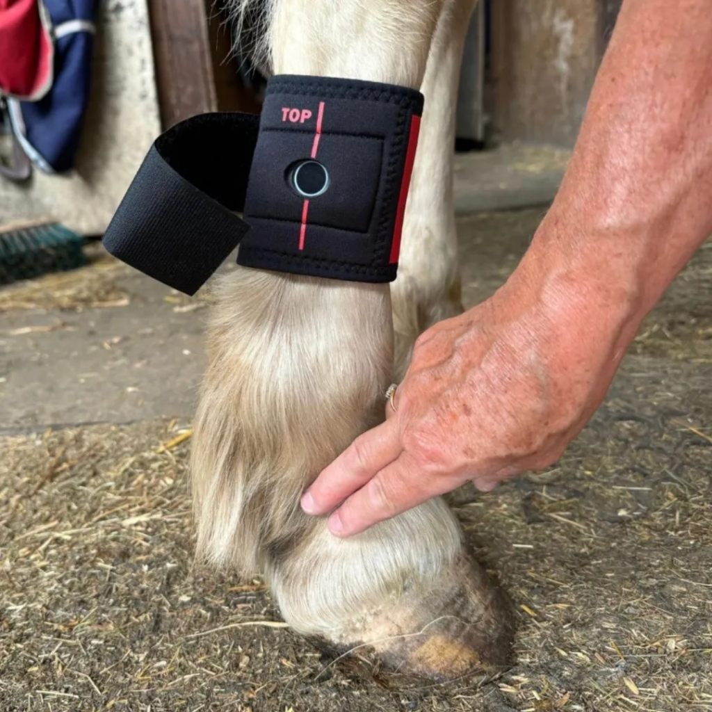 Handy hints of Lami-Tag