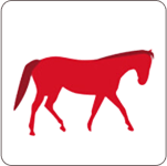 A shortened stride / a stiffened gait