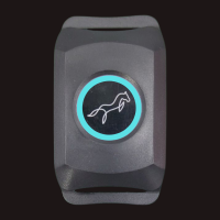 Blue Connected to the app of Lami-Tag device light