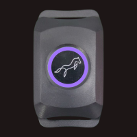 Purple Not connected to the app of Lami-Tag device light