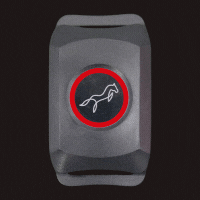 Green / Red flashing Charging of Lami-Tag device light