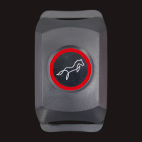 Red Flat battery of Lami-Tag device light