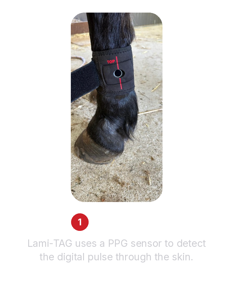 1_fit_the_tag