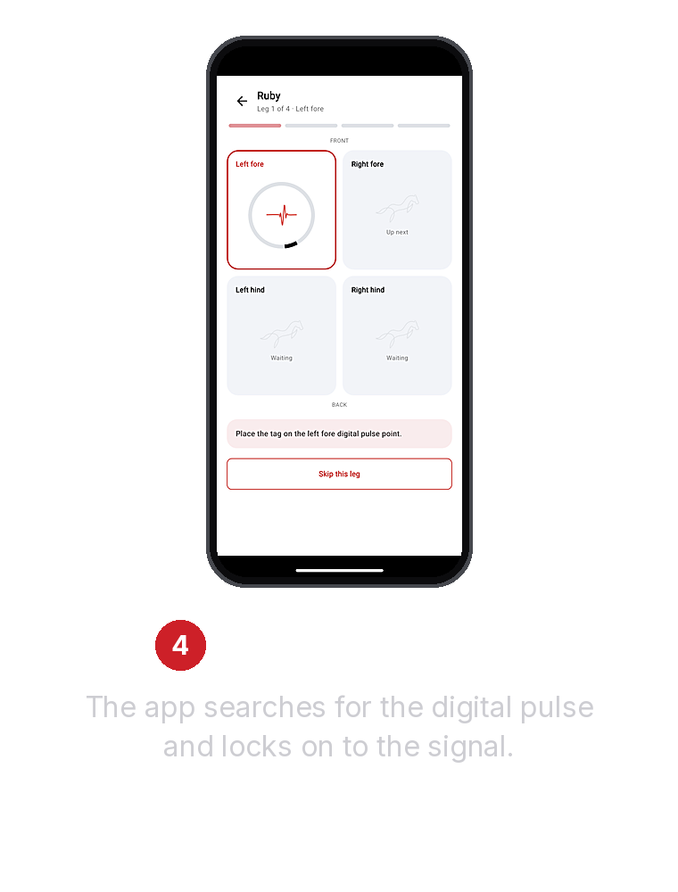 4_finds_the_pulse
